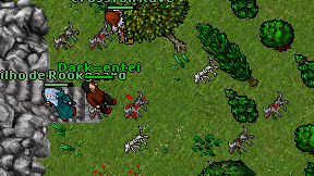 Dark-entei on screen