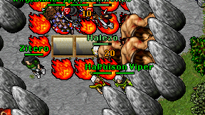 Halezo on screen