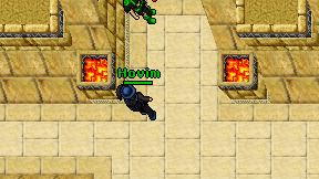 Hovim on screen