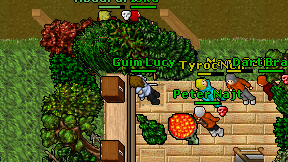 Guim Lucy on screen
