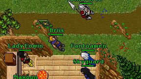 Briis on screen