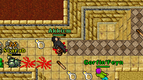 Akkicm on screen