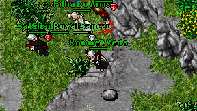Rommet Veda on screen