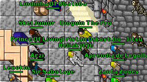 Dioguin The Pro on screen