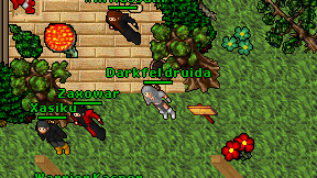 Darkfel druida on screen