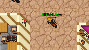 Elite Losu on screen