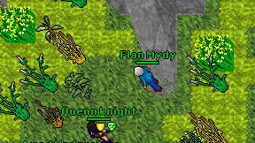 Flan Mydy on screen