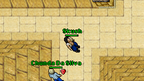 Skush on screen