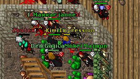 Kiwi Impression on screen