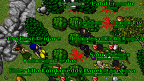 Leonnix on screen