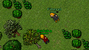 Dufuka on screen