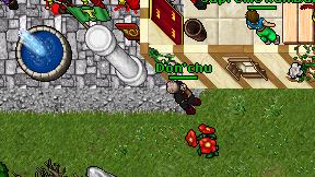 Don'chu on screen