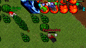 Poolaako on screen