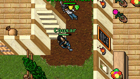 Cousar on screen