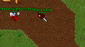 Bialy Stok on screen