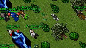 Favifepl on screen