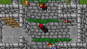 Dragon panceta on screen