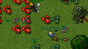 Zath Paladin on screen