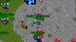 Sally infernal on screen