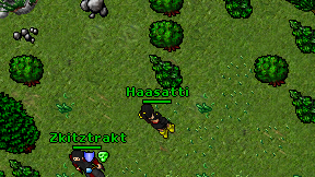 Haasatti on screen