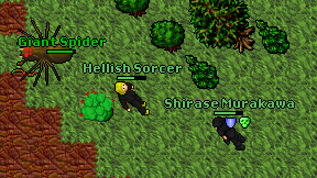 Hellish Sorcer on screen
