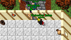 Paladyn John on screen