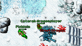 Catarah dragonslayer on screen