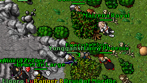Executer'zin on screen