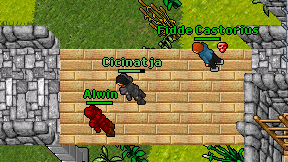 Cicinatja on screen