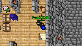 Pena Teir on screen