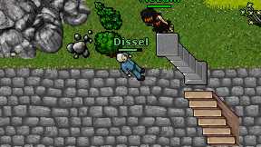 Dissel on screen