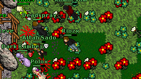 Riozx on screen