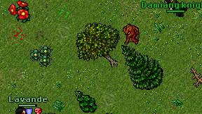 Damiang knight on screen