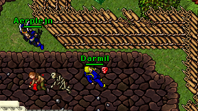 Darmil on screen