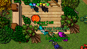 Terus Cell on screen
