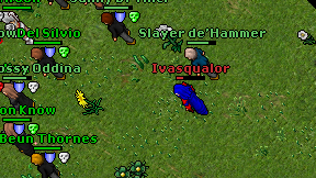 Ivasqualor on screen