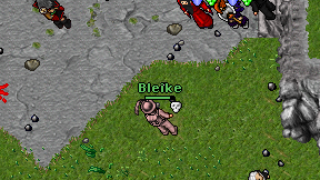 Bleike on screen