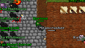 Qurious on screen