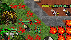 Brunotusco on screen