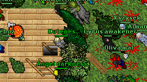 Kutenes on screen