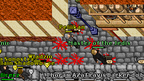 Peliikan on screen