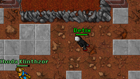 Detix on screen