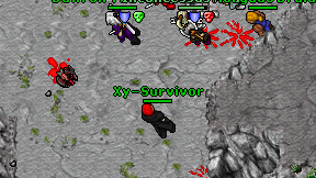 Xy-Survivor on screen
