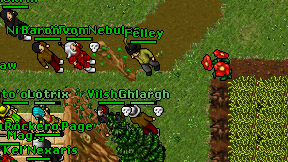Felley on screen