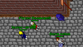 Flyzer Doomspell on screen