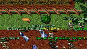 Bartek Bzzy on screen