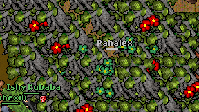 Pahalex on screen