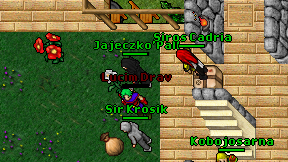 Jajeczko'Pall on screen