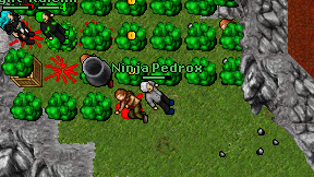 Ninja Pedrox on screen
