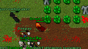 Druid Tras on screen